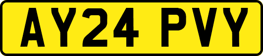 AY24PVY