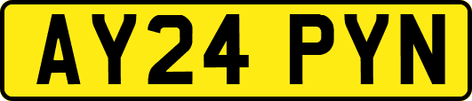 AY24PYN