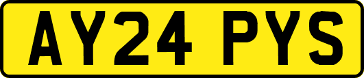 AY24PYS