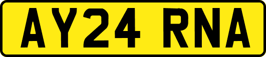 AY24RNA