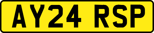 AY24RSP