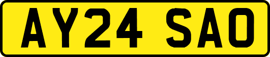 AY24SAO