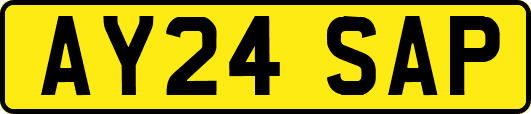 AY24SAP