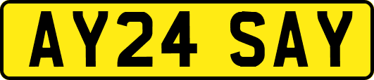 AY24SAY