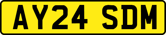 AY24SDM