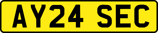AY24SEC