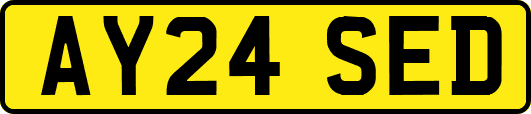 AY24SED