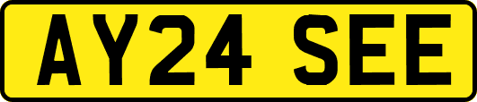 AY24SEE