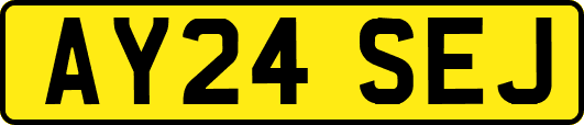 AY24SEJ