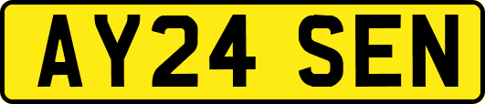 AY24SEN