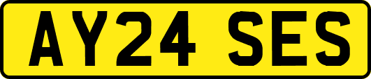 AY24SES
