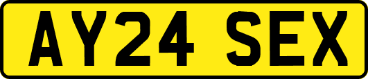 AY24SEX
