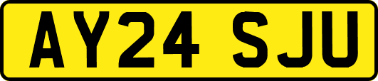 AY24SJU