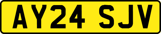 AY24SJV