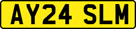 AY24SLM