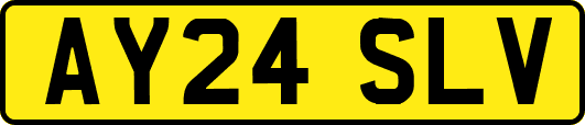 AY24SLV