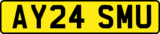 AY24SMU