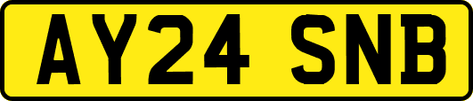 AY24SNB