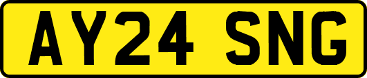 AY24SNG