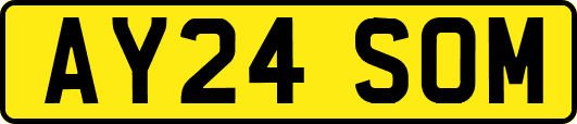 AY24SOM