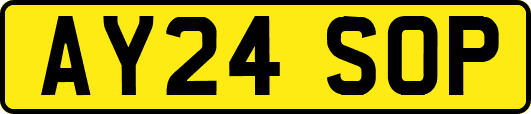 AY24SOP