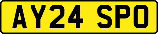 AY24SPO