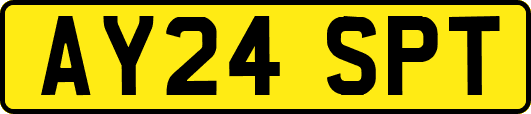 AY24SPT