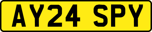 AY24SPY