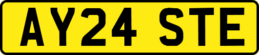 AY24STE