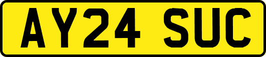 AY24SUC