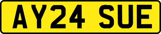 AY24SUE