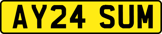 AY24SUM