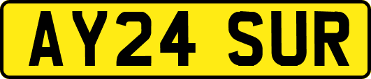 AY24SUR