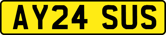 AY24SUS