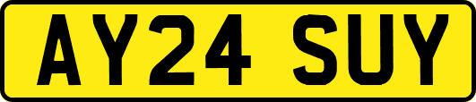 AY24SUY
