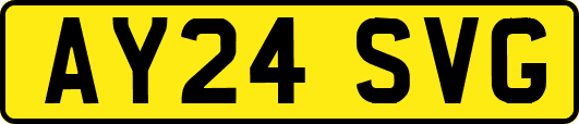 AY24SVG