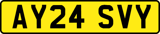 AY24SVY