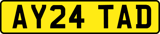 AY24TAD