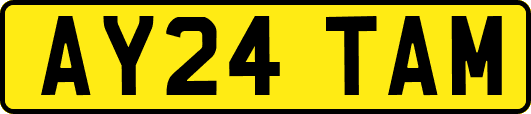 AY24TAM