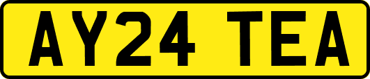 AY24TEA
