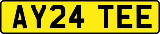 AY24TEE