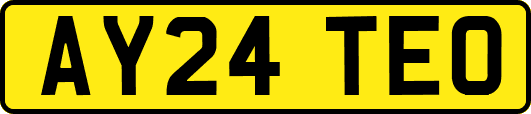 AY24TEO