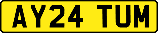 AY24TUM