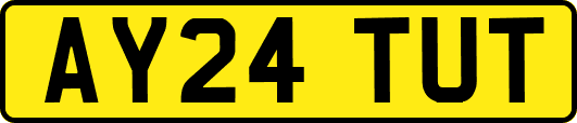 AY24TUT