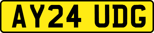 AY24UDG
