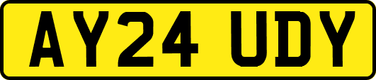AY24UDY