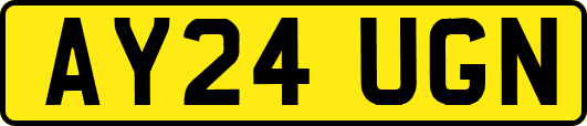 AY24UGN