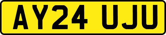 AY24UJU