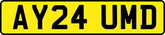 AY24UMD