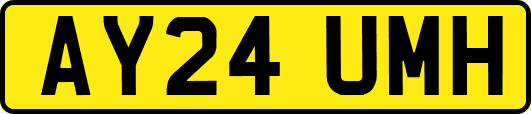 AY24UMH